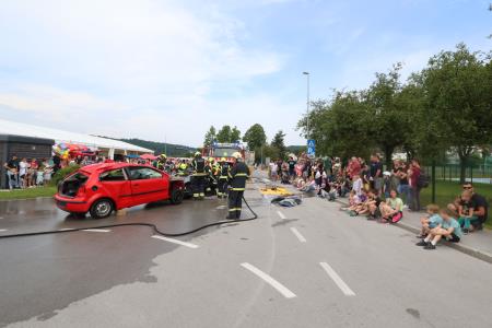 DAN ZAŠČITE IN REŠEVANJA 30 FOTO LJUBO VUKELIČ